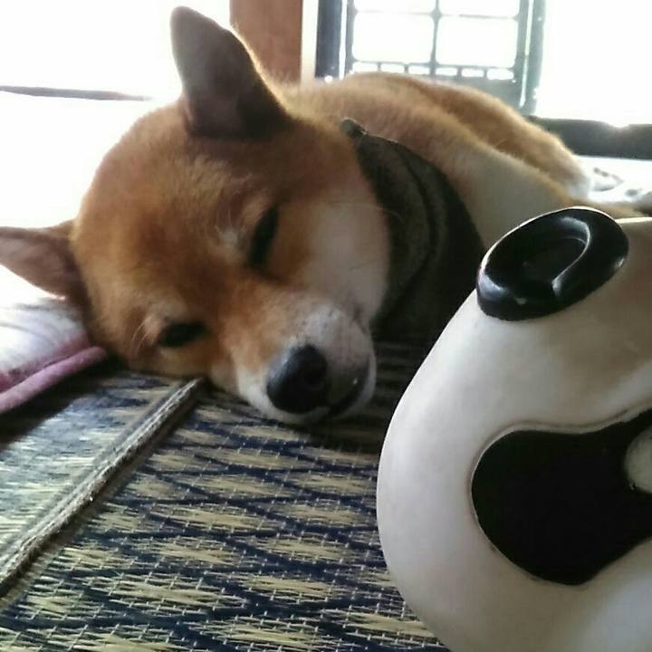 3f2922af 7883 4d1b b35c 87c18f14a9f3 1531547282237