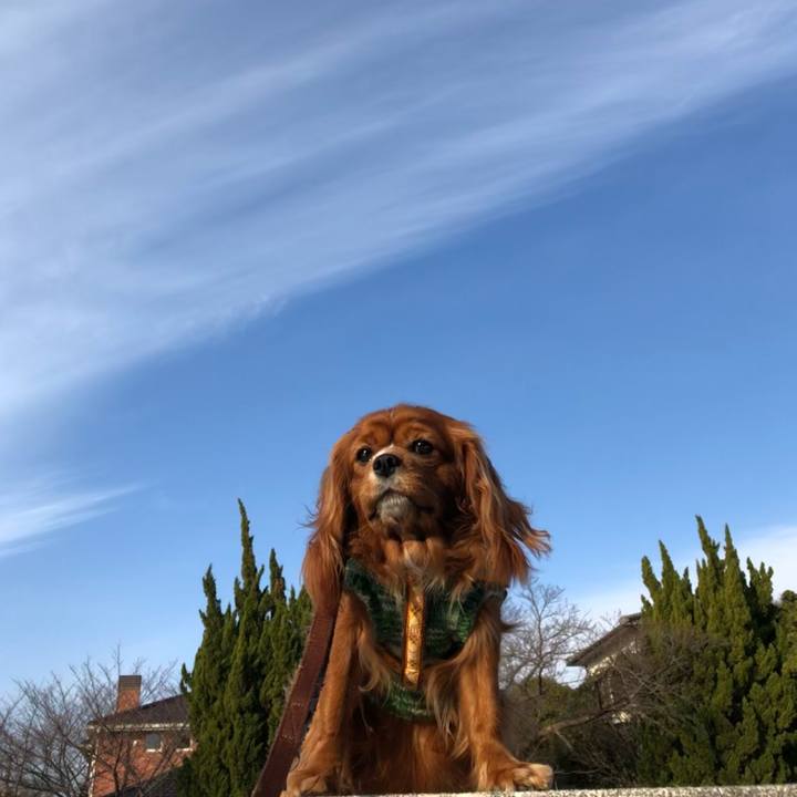 3f29235d a71f 40ee bdd6 72d3c153d271 1610844879357