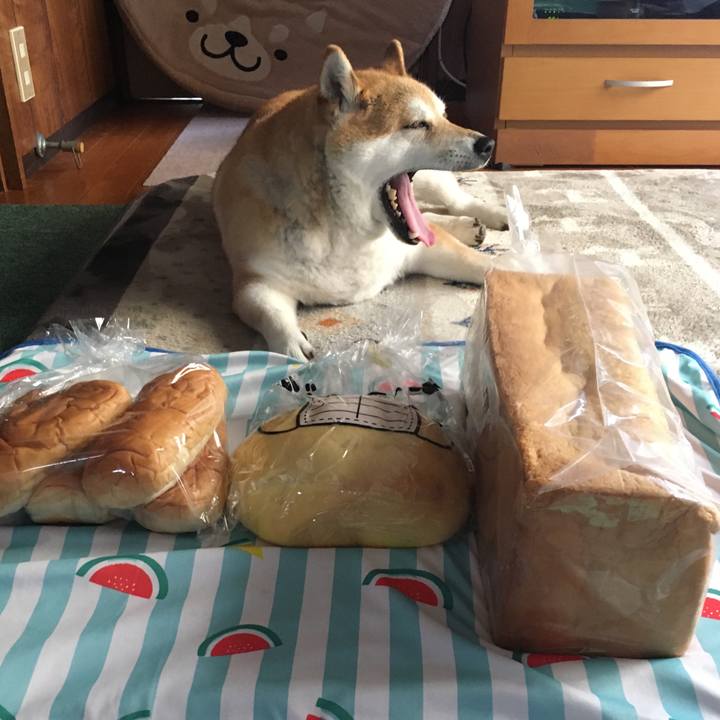 3f292d80 0d0a 46ad bfe2 5d18d2d44109 1621138074425