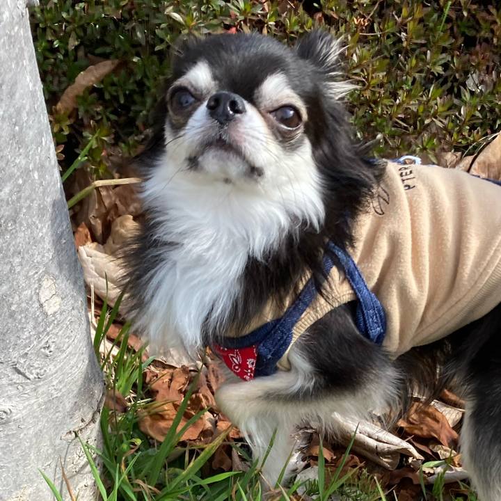 3f294490 a841 44a3 ac1c 973d27a21bfd 1679411230837