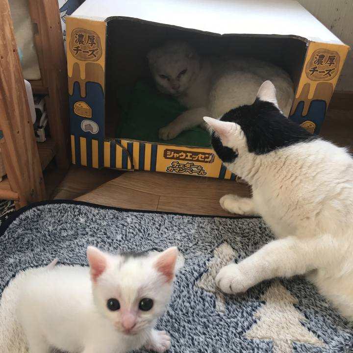 3f296592 2a8a 4649 a23b a65061cbbf70 1591314818566