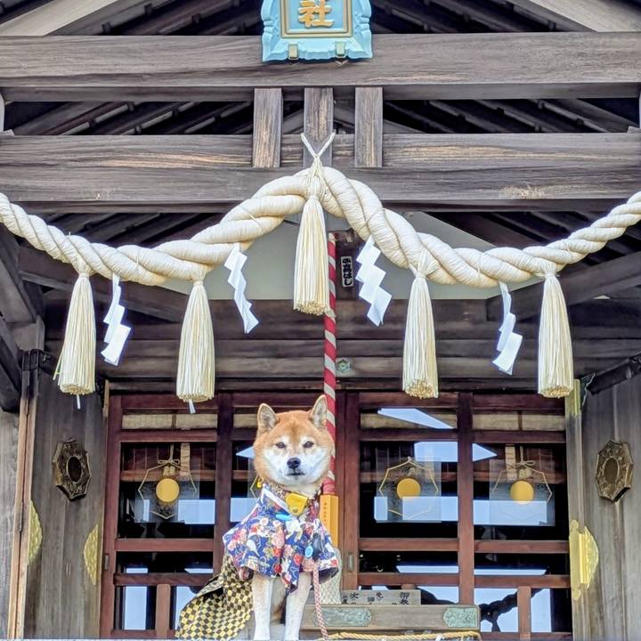 3f29723a 8a19 4049 a059 faddac9d2305 1766118231227