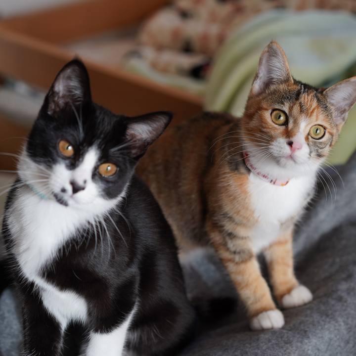 3f297715 ff24 48b2 9889 871ce47a4e30 1574294578006