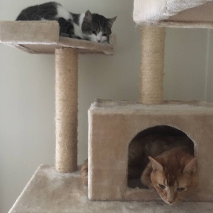 3f29a5c7 8924 41db 9f45 a494791fbd75 1633792661528