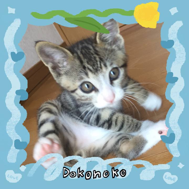 3f29a698 b994 41ed ab22 d8a2db24dee4 1771832483340