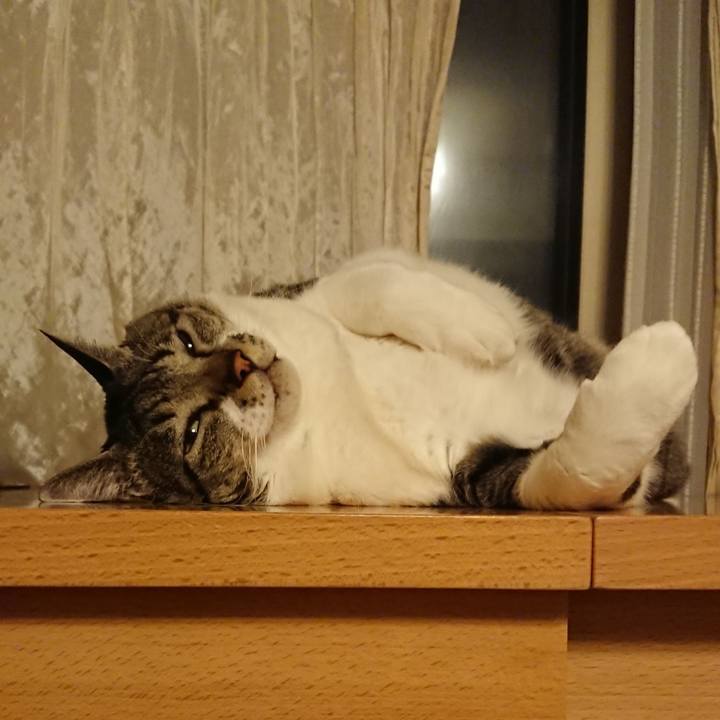 3f29e2c2 a0de 4bad 9ebe 9e0efd9ff766 1573653163838