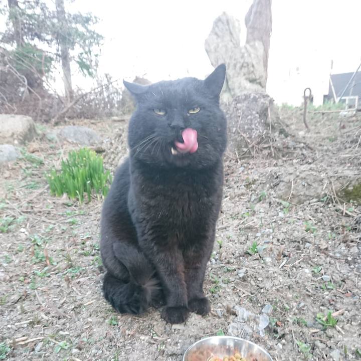 3f29f37d d539 423b 98f7 82fef7062421 1649843209584