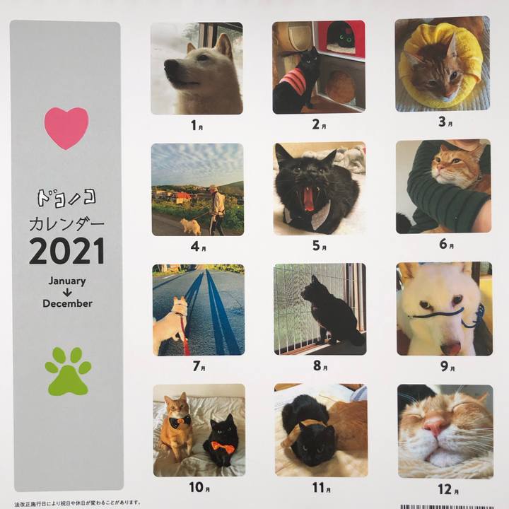 3f2a1826 9de5 4030 8392 83dca0aec575 1607824665439