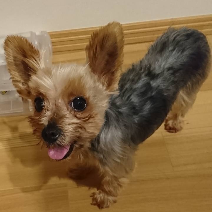 3f2a4021 0de6 4257 a92d cd47ad19c41c 1533382942785