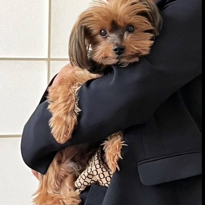 3f2a52fd 7a4a 4333 899c 667a61083b18 1698993017300