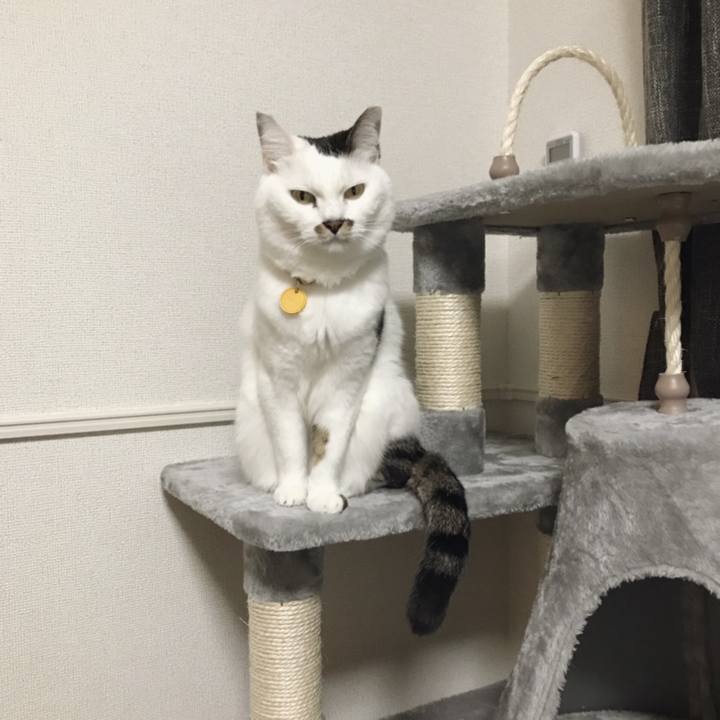 3f2a5a61 0643 4a9c b24c fb626ff07e2d 1547212428135