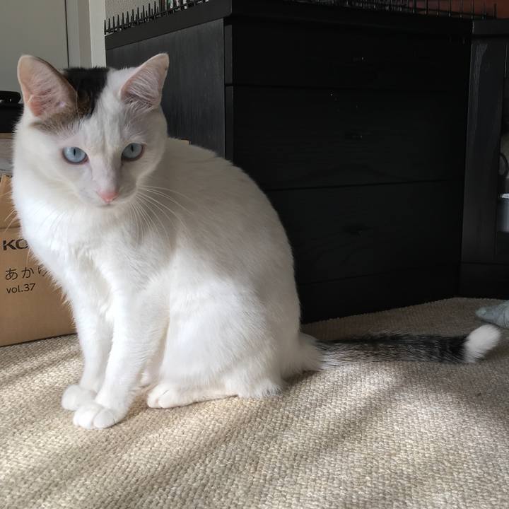 3f2a5fc2 30aa 4627 a347 a623bfedb56e 1549499467870