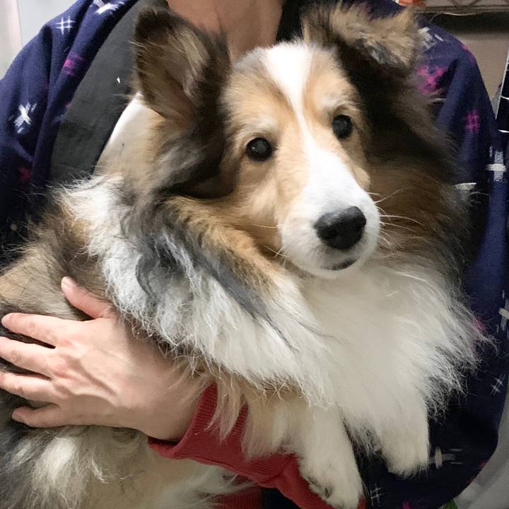 3f2a7eac dbdf 4d8a 8dba ad735882839c 1576647059731