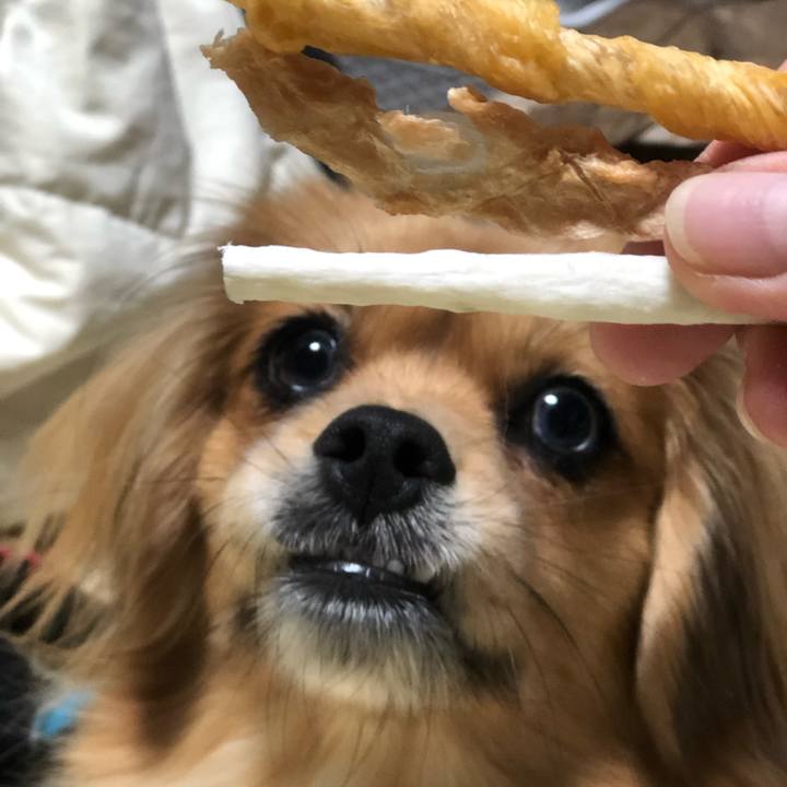 3f2aa13e a46a 42e2 92dc 02e62c5a9c57 1545775528779