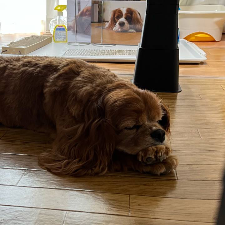 3f2ab916 571f 41bd b51a abc3362c23c2 1752360330114