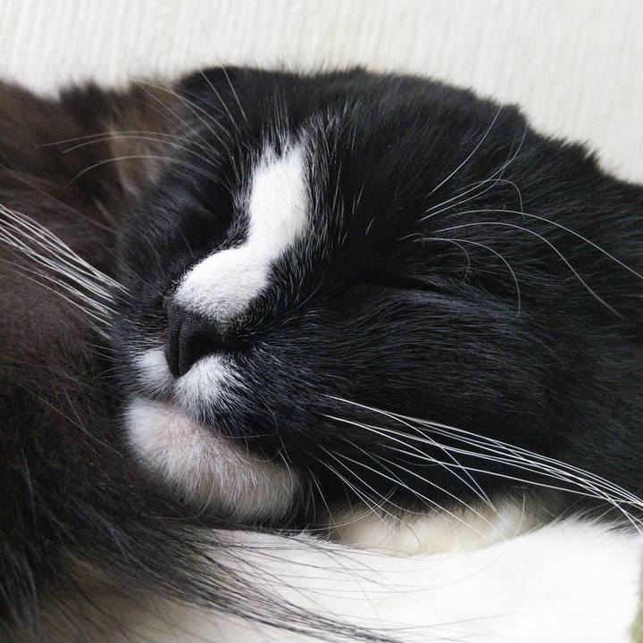 3f2aeb6b b0b4 49c0 908d 6f992f55813d 1650348216388