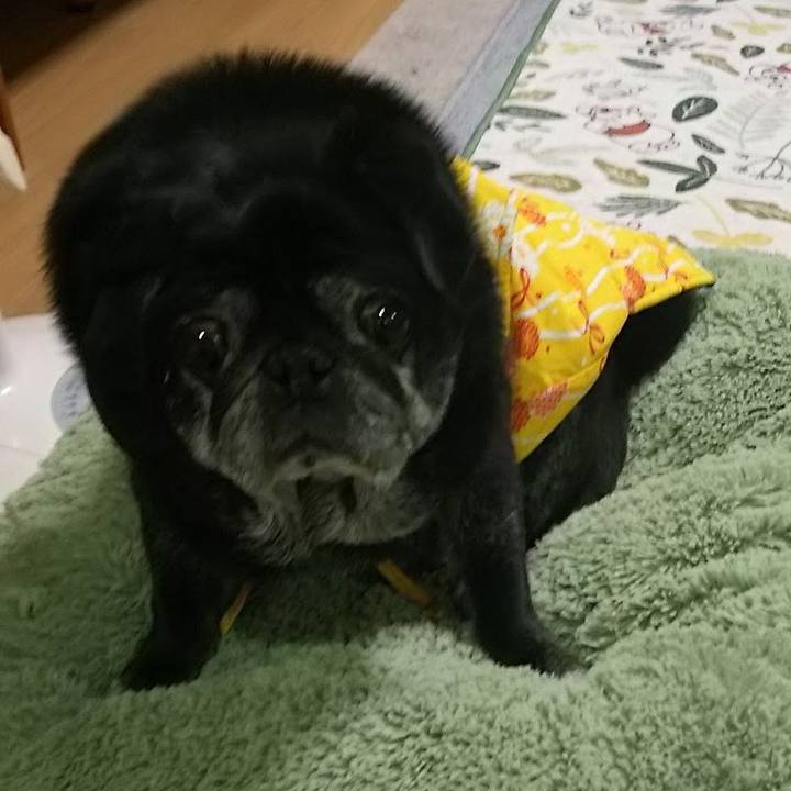 3f2aff39 2902 4ebb abfe a2f40e6b4fe8 1606482221945