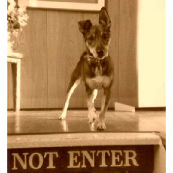 3f2b0f82 a717 4e6a 8554 30d82658faa7 1521471928549