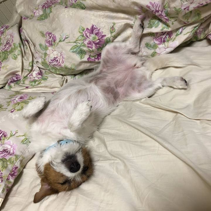 3f2b18ae 6cd1 4585 9c82 b66cc7214bd6 1531574519713