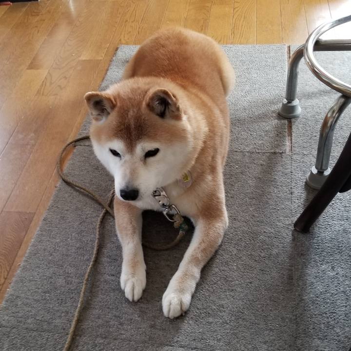 3f2b20a4 30ce 4cfb a00f 32b1d2f18c89 1678412686596