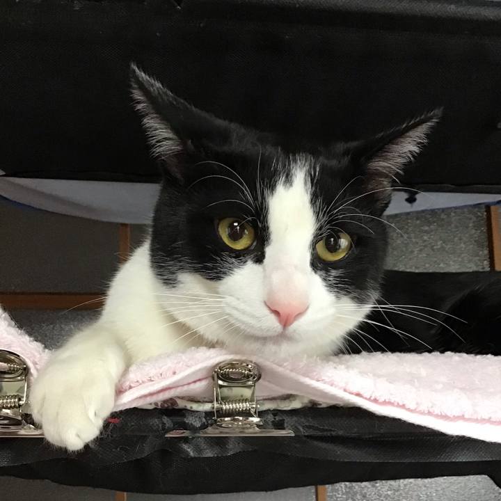 3f2b96df 3350 4c82 ac0f 539ca4c218c4 1649905180939