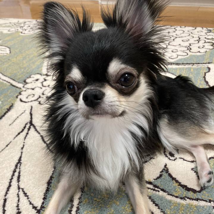 3f2be935 4649 4596 aa6b cc61acc18c26 1625285506220