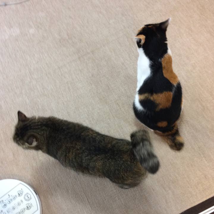 3f2bf78b b8f5 430b ae68 ae756d41aded 1602021134928