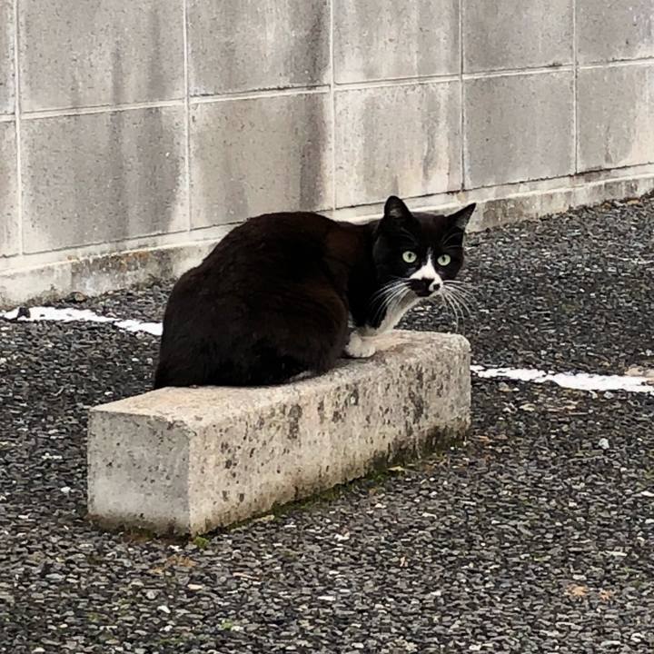 3f2c683c 3f8f 49f5 9396 98574ace1632 1515494579724