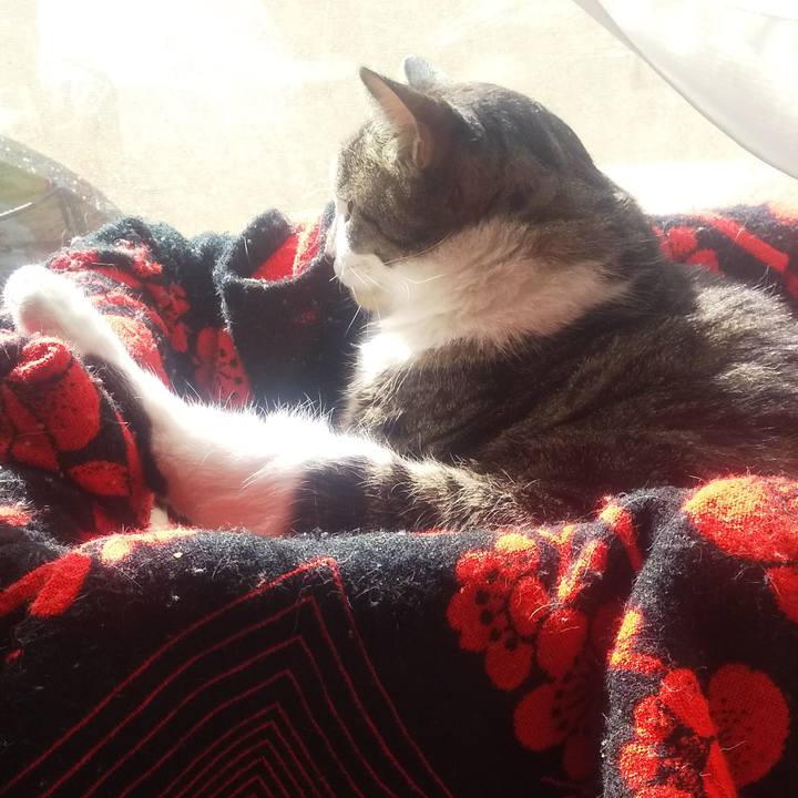 3f2c6a26 cf53 4661 b687 d808db72007f 1700442384993