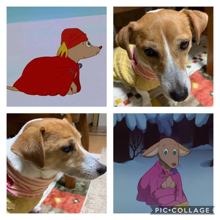 3f2c7cb9 f6f3 447f 83b4 1c3e530c41bb 1607426223809