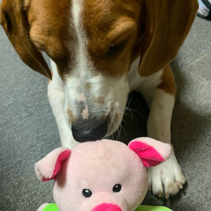 3f2c8edc 79cc 48f0 ba65 287d49e90b9a 1577278636388