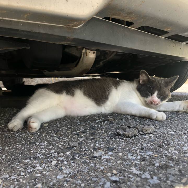 3f2c9d56 7acf 42a6 af5e 9a77e3de9c3b 1627884811366