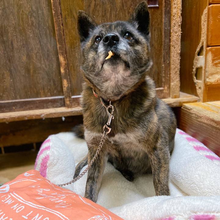 3f2cc564 3e1d 4a69 a2e6 0fb2c445e6b8 1581510343328