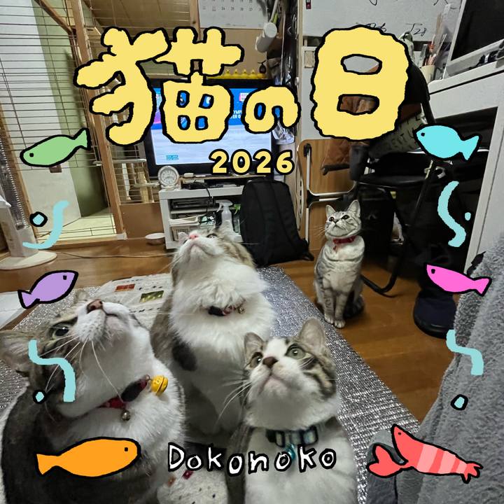 3f2cd105 10ac 41c0 bb09 3f16531d5794 1771709854347