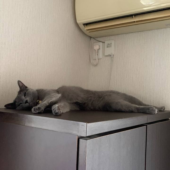 3f2cd365 37b8 4aff a294 893cd738a134 1646434892027