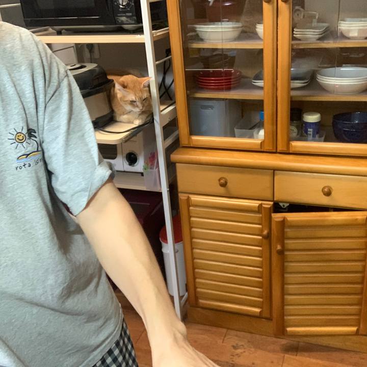 3f2cdc41 5956 441f ac78 66278618cb24 1669067364911