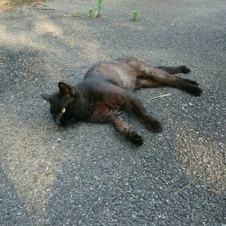 3f2d0027 7e2f 43c9 95b4 bc89ea1e8958 1536589343512