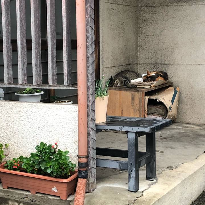 3f2d21df d391 4ee0 87ea bbc0c9afdfe8 1594648577094