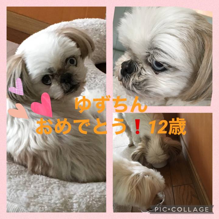 3f2d3281 bb1f 42a4 9a94 19d75e684e2f 1615530537088