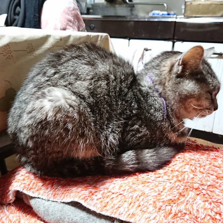 3f2d569f c6e0 400c a5ed 0248e861a035 1584821528555