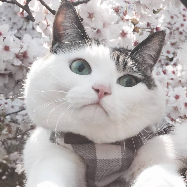 3f2d66ef 6a23 4472 a226 3fcdf5d804d4 1522565686809