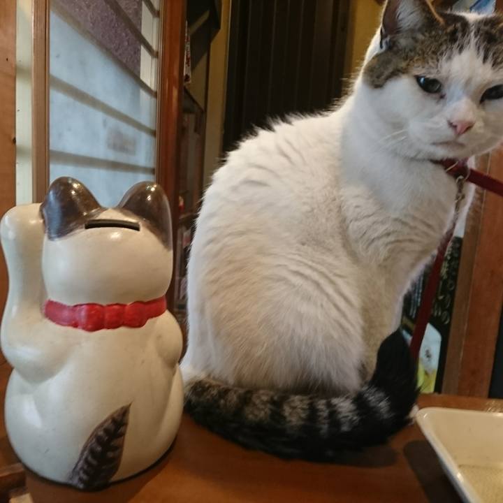 3f2d778b 8e81 432b bab4 9e4840331e62 1542600900324