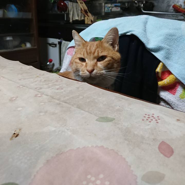 3f2da799 e3d6 4abe b5a8 a3fc8d216a69 1605995437105