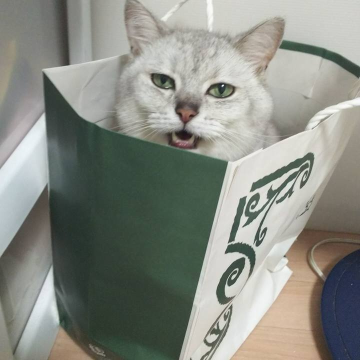 3f2e2d81 4398 46cb b1fc 7550f263dabc 1533471241271