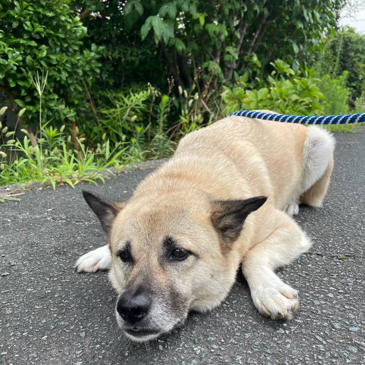 3f2e5717 b98d 43f9 a497 cbf34cdd85ec 1658838737039