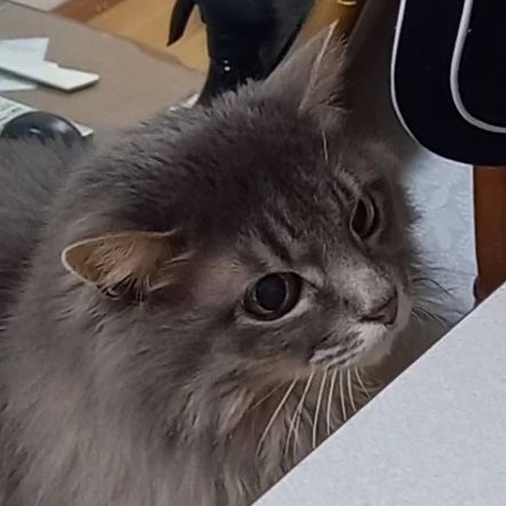 3f2e5f13 b910 49b6 ba63 98d65874fd50 1676150618029