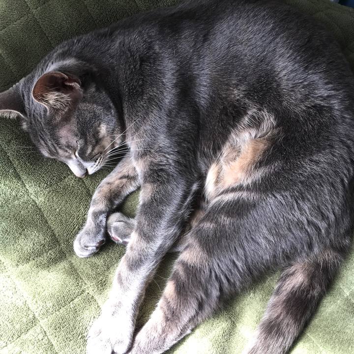 3f2eb5cf d308 40b1 9599 75571947716f 1584844040370