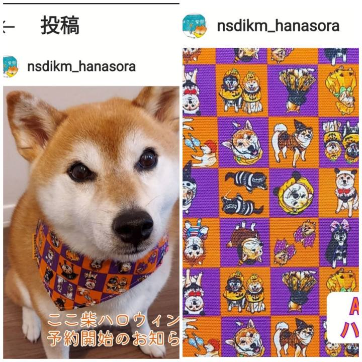 3f2ecd64 6f07 4a71 b761 e029d39439d8 1631164605719