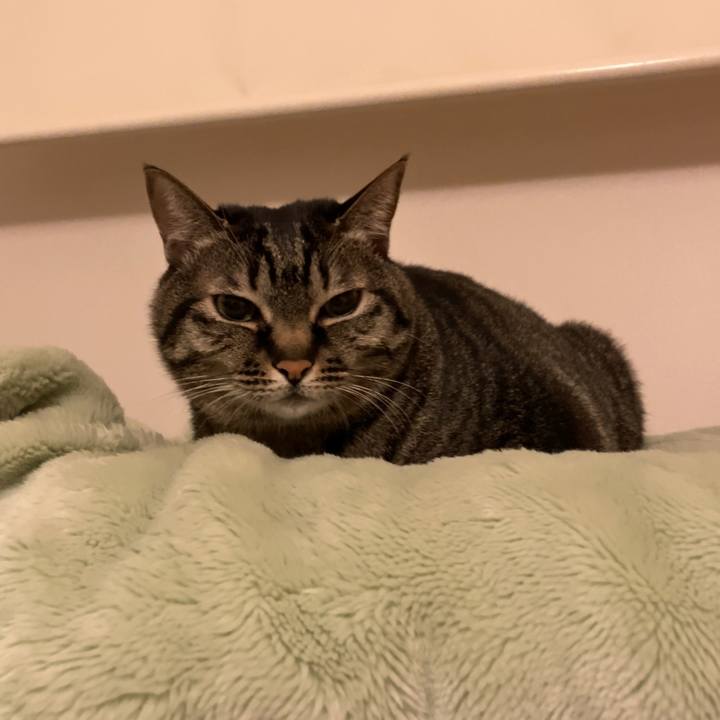 3f2edc18 d268 461c a7e2 3b366f70e9dc 1613636905891