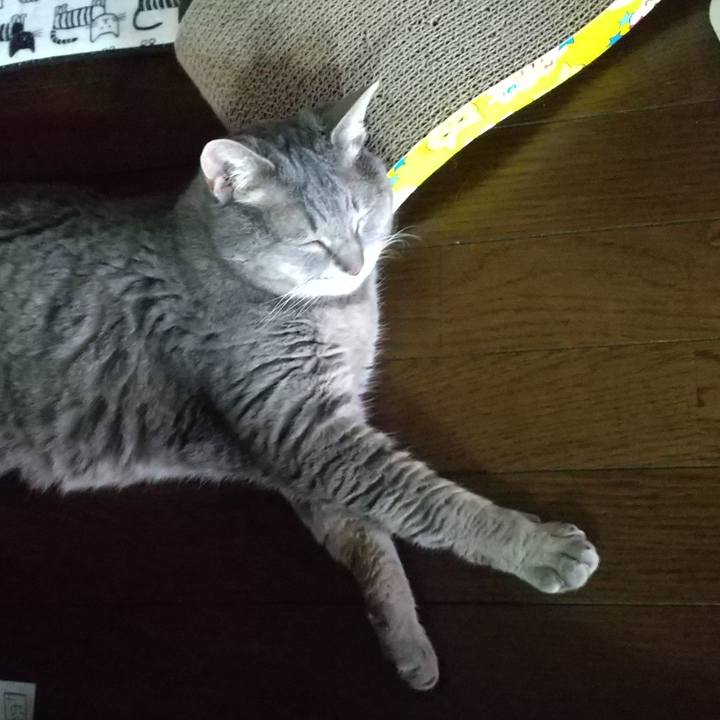 3f2f3740 6a78 484d 8c87 28d9d31a1583 1657491022756